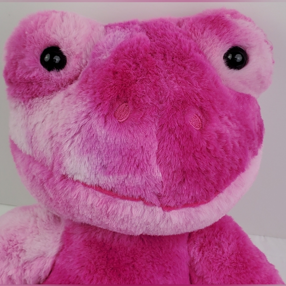 Build-A-Bear BAB 2022 Pink Toadally Tie-Dye Frog Colorful Spring - EUC